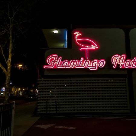 The Flamingo Motel סן חוזה מראה חיצוני תמונה