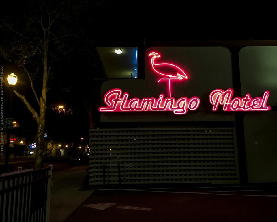 The Flamingo Motel סן חוזה מראה חיצוני תמונה