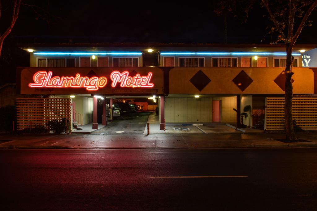 The Flamingo Motel סן חוזה מראה חיצוני תמונה